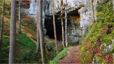 Este granjero inglés descubre agujeros en su tierra que conducen a inexplicables cuevas históricas