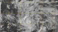 Beryl se convierte en primer huracán del Atlántico rumbo a Antillas Menores