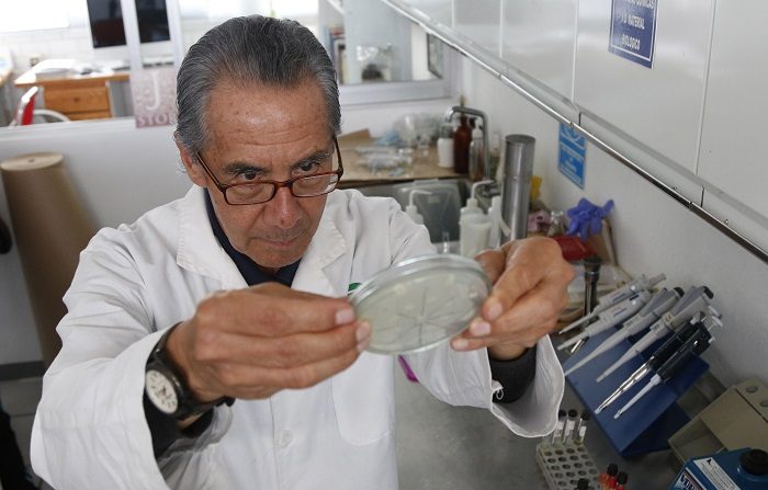 Un investigador mexicano creó un antibiótico a partir de piel de rana que cura la inflamación de las ubres de las vacas sin dejar rastros tóxicos en la leche. EFE/ Francisco Guasco