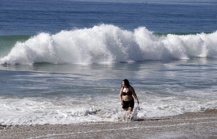 La playa de Fernandina, en la costa noreste de Florida, cerró temporalmente tras dos ataques seguidos de tiburones que dejaron heridos a dos hombres de 17 y 30 años con unos tres minutos de diferencia, informaron hoy medios locales. EFE/ARCHIVO