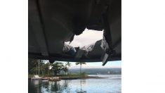 Más de 20 heridos en Hawái por una bomba volcánica que perforó el techo de un barco