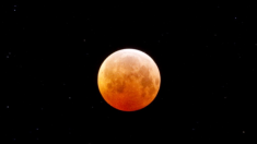 Viernes de “Luna de sangre”: llega el eclipse lunar más largo del siglo