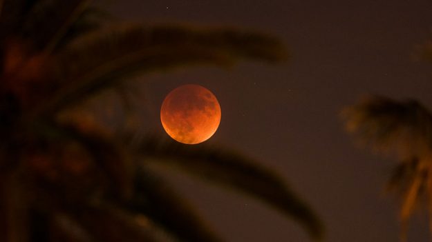 Este será el único eclipse de Súper Luna Roja del año: cómo prepararse para verlo