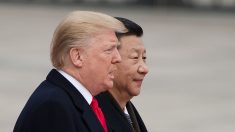 China podría estar “presionando negativamente” a Corea del Norte, dice Trump