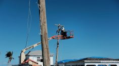 Casi 2.000 clientes siguen sin luz en Puerto Rico tras 10 meses de paso de huracán