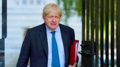 Dimite un asesor de Johnson que divulgó comentarios racistas