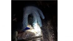 Policía decomisa 120 kilos de droga cristal en aeropuerto de Ciudad de México