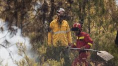 España: Trabajarán toda la noche en fuego que arrasó 1.400 hectáreas en Nerva