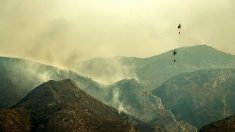 Más medios aéreos para incendio de Llutxent (Valencia) y desalojos por humo