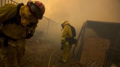 Bomberos están cerca de controlar la mitad de incendio Holy en California
