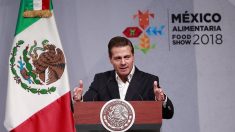 México se consolida como potencia agroalimentaria