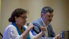 Expertos instan a Gobierno a facilitar información de violencia en Nicaragua