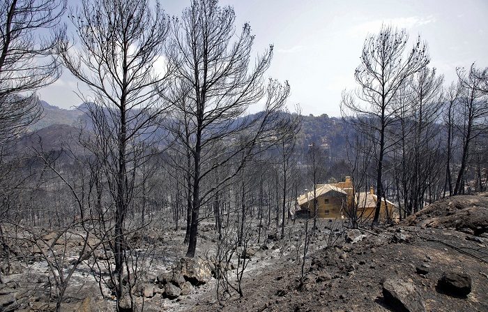 El Gobierno destina 750.000€ a restaurar el área afectada por el incendio de Llutxent.
Vista de una de las viviendas afectadas por el incendio forestal de Llutxent en la zona de la Marxuqera (Gandía). EFE/Archivo