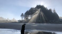 Un «bosque fantasma» avizora tsunamis en una playa de Oregón