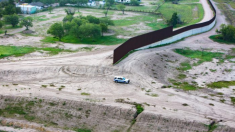 Congresista propone cobrar al país de origen de cada ilegal atrapado en la frontera para financiar el muro