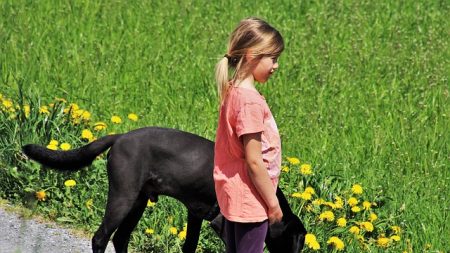 Con solo 11 años esta niña ayuda a dos extraños después de un traumático accidente