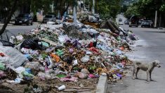 Emiten alerta sanitaria por acumulación de basura en Acapulco, Guerrero