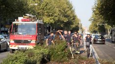 Las lluvias dejan 70 l/m2 en el Raval e inundan el metro de Barcelona