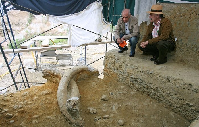 Los paleóntologos Emiliano Aguirre (i) y Eudald Carbonell (d), muestran dos de los colmillos de mamut encontrados en el yacimiento de La Boella en el año 2007. EFE/Archivo
