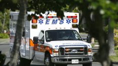 Dos niños mueren en automóviles recalentados en Florida
