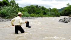 Varios estados mexicanos en alerta ante la cercanía del huracán Rosa