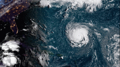 Huracán Florencia ya es categoría 4 y se fortalece camino a Carolina del Norte y Sur