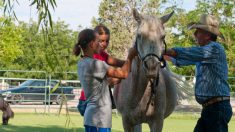 Asilo de ancianos recibe la visita inesperada de un caballo y la felicidad de estos abuelos es total