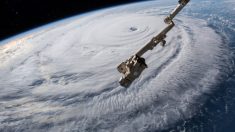 EN VIVO: Mira el paso del destructivo huracán Florence por EE. UU.