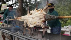 Tailandés que le iba mal con su granja de cocodrilos abre exitoso puesto de su carne asada