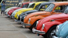 Tras 3 generaciones y más de 70 años Volkswagen no fabricará más el mítico Beetle