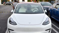 Acciones de Tesla caen casi 12 % tras denuncia del regulador bursátil de EEUU