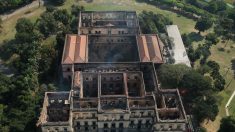 Incendio del Museo Nacional de Brasil: “se perdió el trabajo de una vida entera””