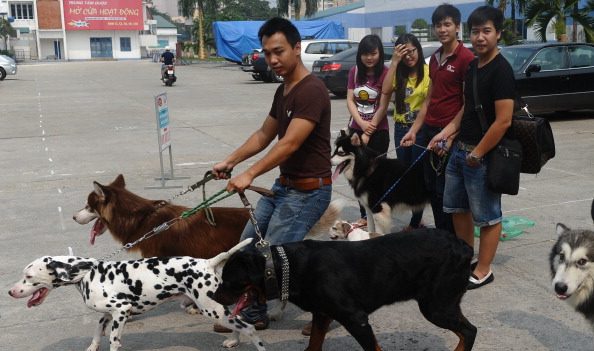 ¿Por qué no comer carne de perro? Las autoridades de Hanoi lo explican