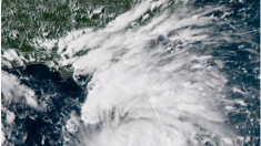 Emiten alerta de huracán por el ciclón Gordon en el Golfo de México: estas son las zonas afectadas