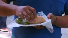 Presentan campaña para que mexicanos conozcan sus niveles de colesterol