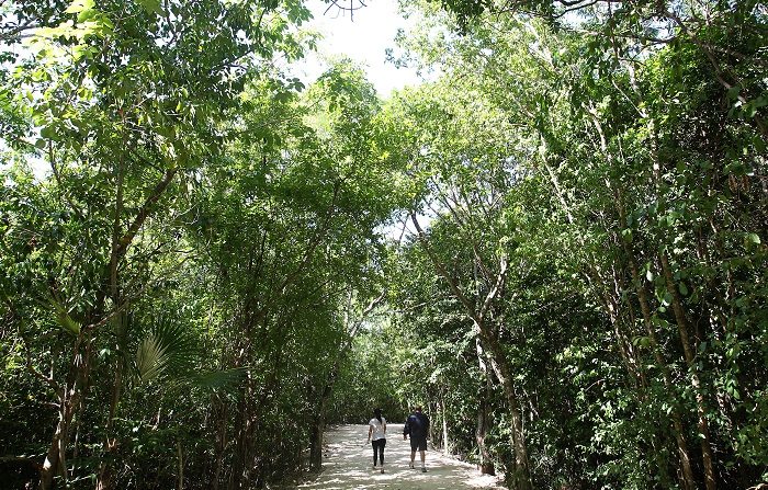 México dio un paso adelante para proteger de la explotación turística el Área de Protección de Flora y Fauna de Yum Balam, en Quintana Roo, con el Programa de Manejo (EFE/Archivo)