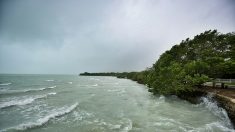 La tormenta tropical Vicente se forma en el pacífico sur de México