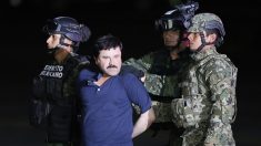 Corte fija audiencia para el 30 octubre en el caso Joaquín «El Chapo» Guzmán