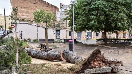 La Aemet mantiene a quince provincias de España en alerta por lluvia y viento