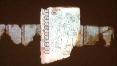 Códice legible más antiguo de América ilustra las adivinaciones de los mayas