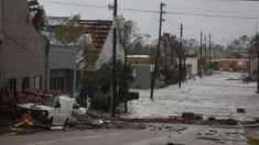 El día después del paso del huracán Michael por Florida: imágenes de una catástrofe