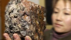 Cae meteorito en el techo de una casa en Japón y resulta que tiene 4.600 millones de años