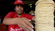 Denuncian en México que harina de tortilla tiene glifosato cancerígeno de Monsanto