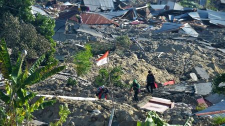 Terremoto en Indonesia: rescatan con vida 31 estudiantes después de una semana