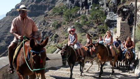 Contra el maltrato animal Grecia limita el peso de carga de burros en Santorini