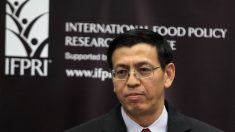 China quiere encabezar la FAO con el objetivo de tener más influencia en la ONU