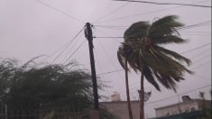 Declaran emergencia en Baja California ante inminente impacto de ciclón Rosa