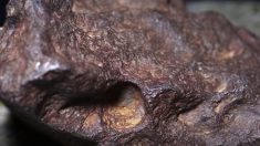 India: Recogen posible meteorito de 13 kilos de «intrigante magnetismo» luego de sentir su caída