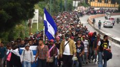 La caravana de migrantes deshonra a Honduras