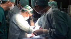 «Cortaron a la mujer y estaba viva», relata un testigo de la sustracción forzada de órganos en China